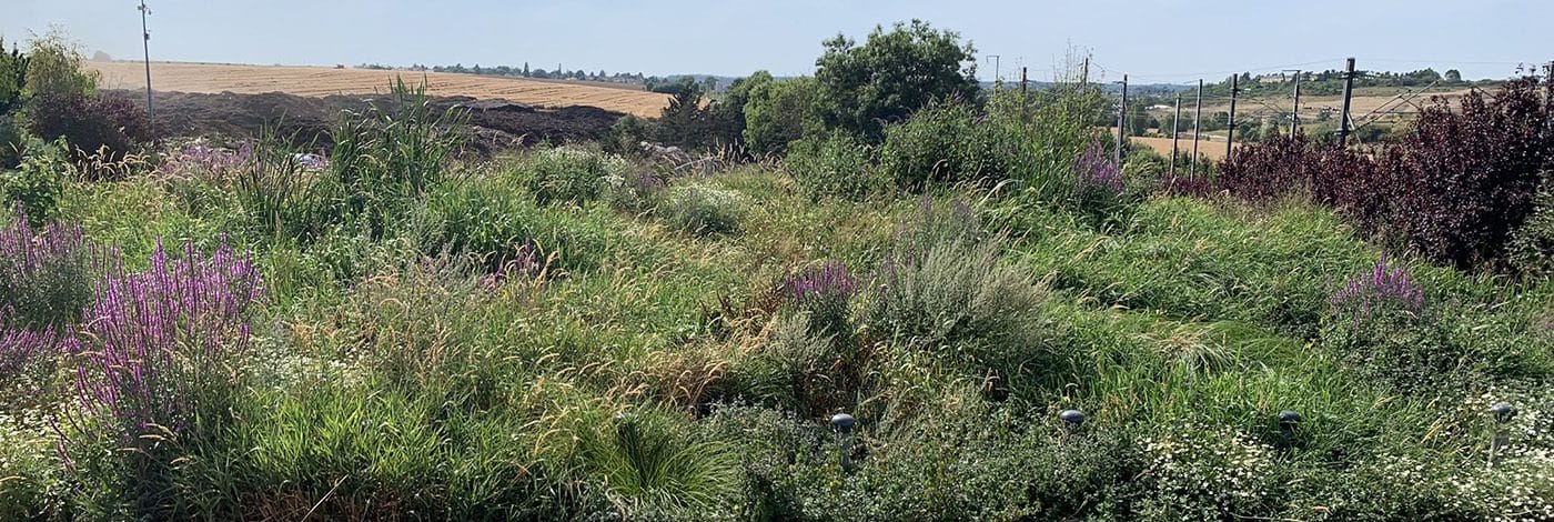 traitement des eaux usées